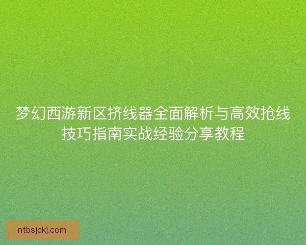 梦幻西游新区挤线器全面解析与高效抢线技巧指南实战经验分享教程